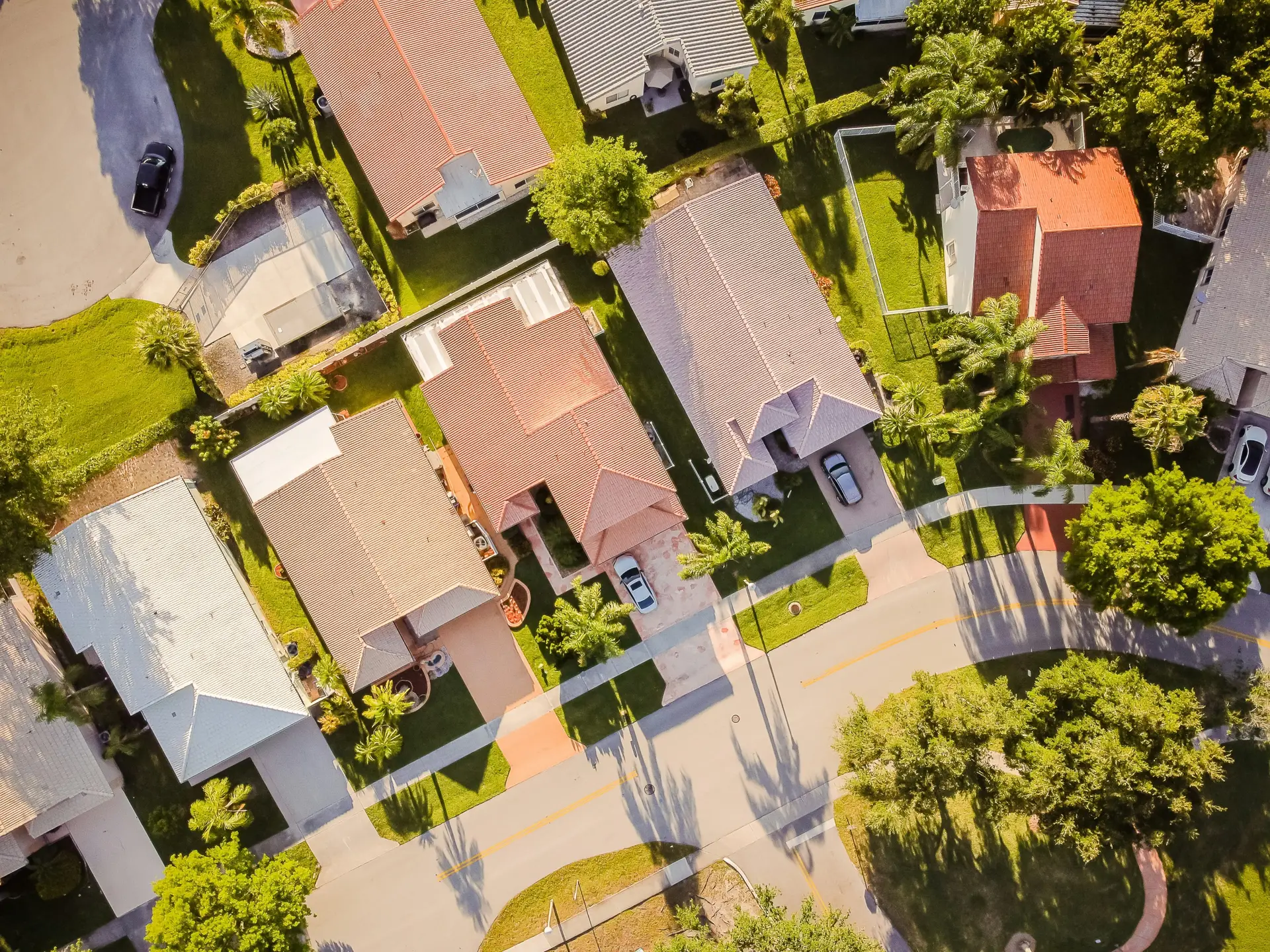 aerial view of green trees and brown concrete building